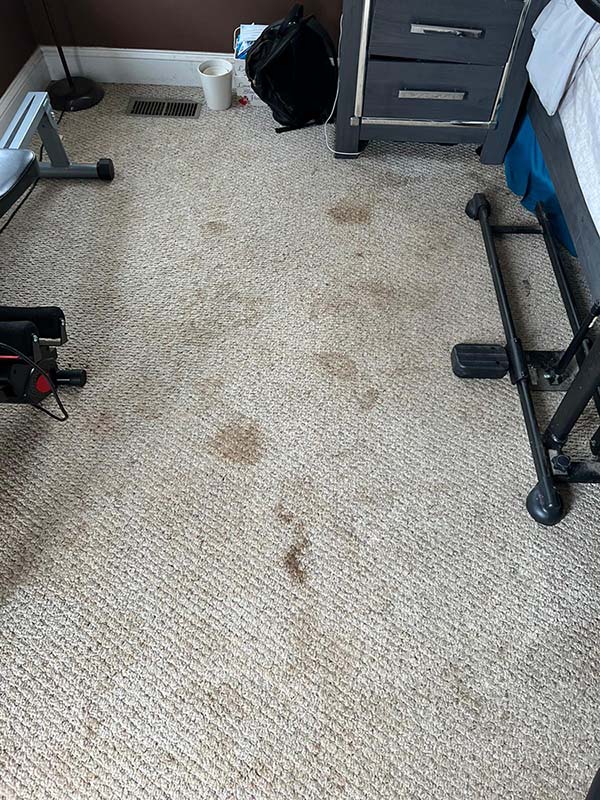 Photo of the dirty carpet (Before some cleaning work by Luana)