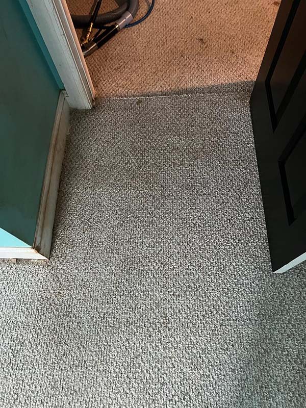 Photo of the clean carpet (After some cleaning work by Luana)